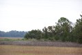 srnssa057