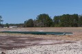 gatorbunker007