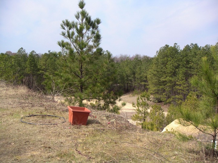 PICT0033.JPG