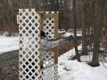 IMG_0029