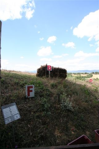 IMG_9963.JPG
