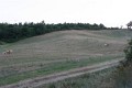 IMG_0085