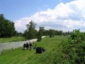 IMG_0754