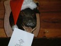 DSCF0036_3
