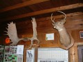 DSCF0046_3