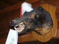 DSCF0056_3
