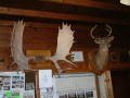 DSCF0045_3