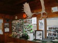 DSCF0047_3