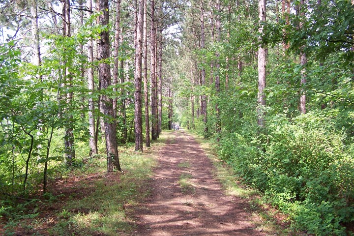 sunsetfarms029.JPG