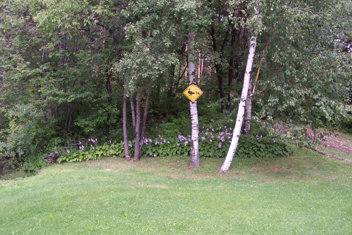 sunsetfarms030.JPG