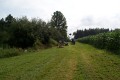 sunsetfarms011