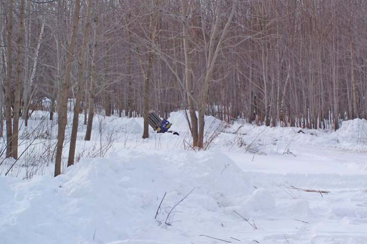 snow.jpg