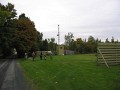 IMG_0013