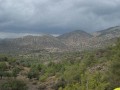 IMG_0009