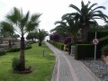 Photo 007