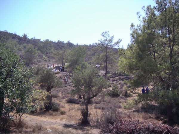 PICT0056.JPG