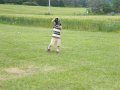2008_06302008Canadien0254