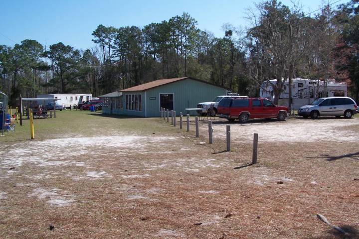 gatorATA040.JPG