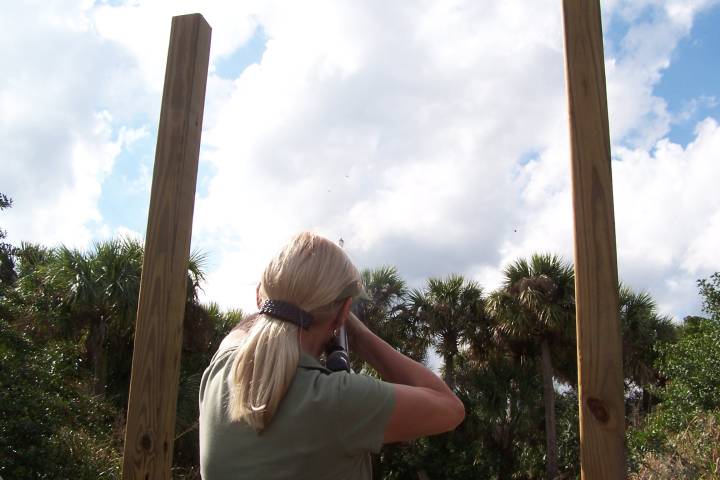 indianriver038.JPG