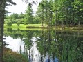 IMG_1097