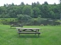 IMG_1108