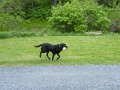 2009_05230126