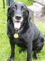 2009_05230144
