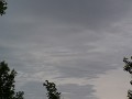 100_0817