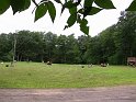 IMG_0208