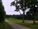 IMG_0210