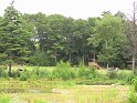 IMG_0218