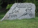 IMG_0005