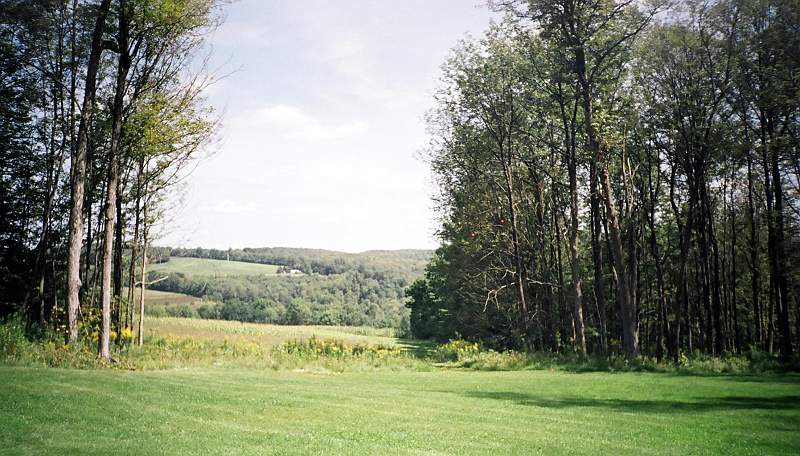 TR15.JPG