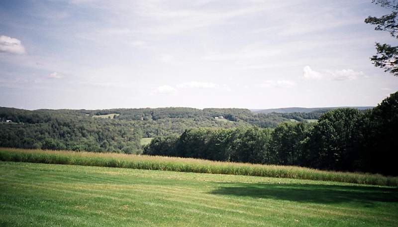 TR21.JPG