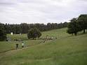 PICT0005
