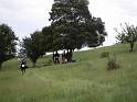 PICT0006