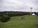 PICT0007