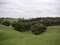 PICT0008