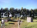 PICT0001