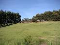 PICT0002