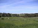 PICT0023