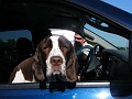 2009_07110087
