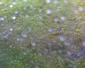 photo070709003