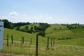 DSC05290