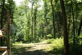 DSC05309