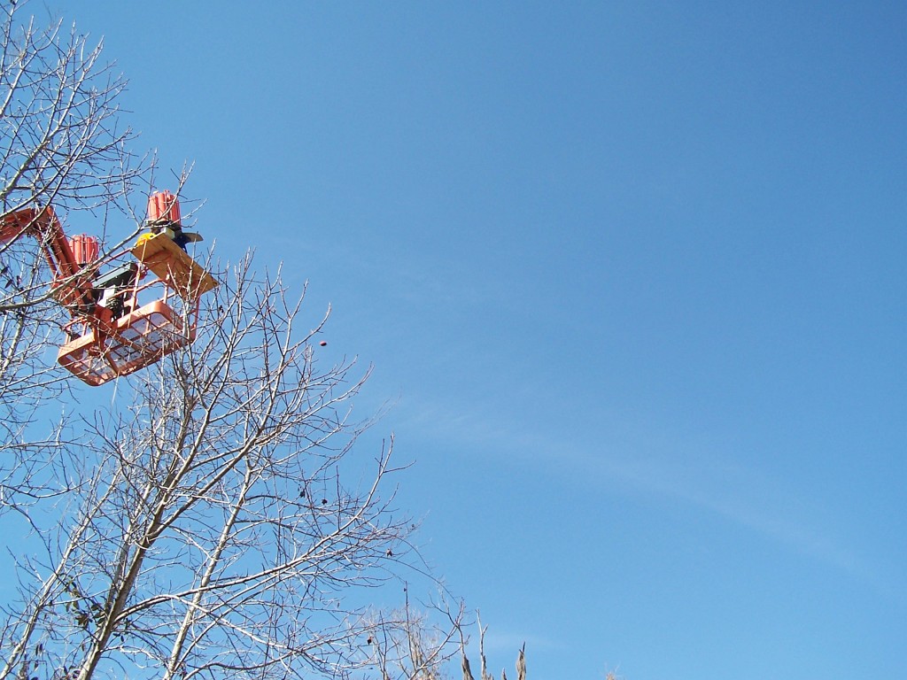 100_9912.JPG