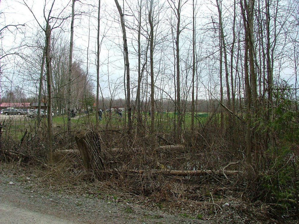 DSCF7041.JPG