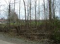DSCF7041