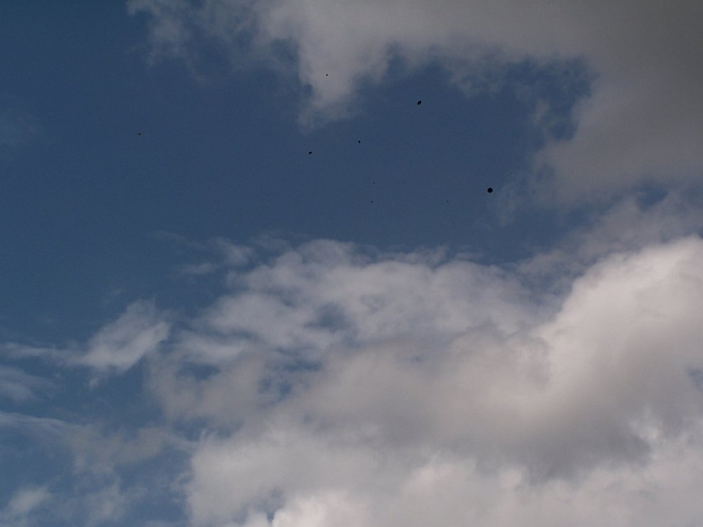100_6016.JPG