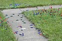 dscn0682